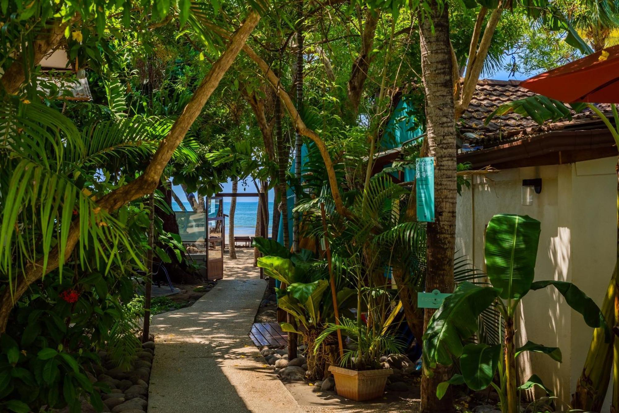 The Coast Beachfront Hotel Tamarindo Eksteriør bilde