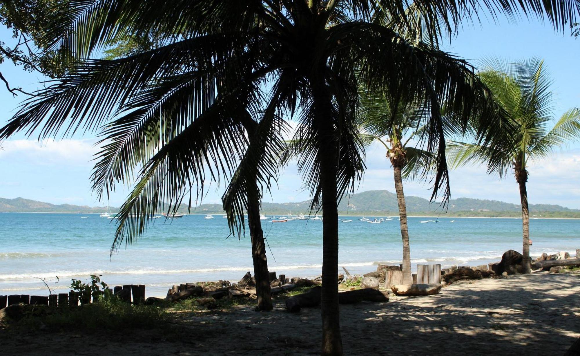 The Coast Beachfront Hotel Tamarindo Eksteriør bilde